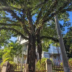 Iron House (Casa de Ferro) - Maputo