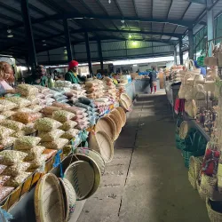 Maputo Central Market - Maputo