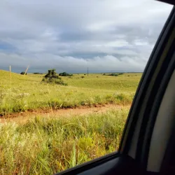 Maputo Elephant Reserve (Maputo Special Reserve) - Maputo