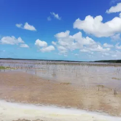 Maputo Elephant Reserve (Maputo Special Reserve) - Maputo