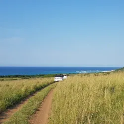 Maputo Elephant Reserve (Maputo Special Reserve) - Maputo