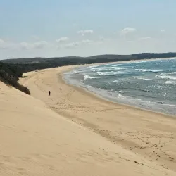 Maputo Elephant Reserve (Maputo Special Reserve) - Maputo