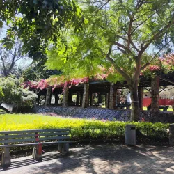 Tunduru Botanical Gardens - Maputo