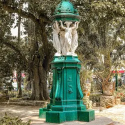 Tunduru Botanical Gardens - Maputo