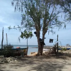 Ilha de Moçambique (Island of Mozambique) - Nacala