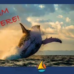 Local Fishing Villages - Nacala