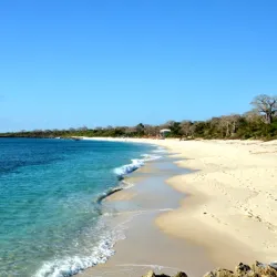 Marine Life and Snorkeling Spots - Nacala