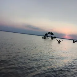 Marine Life and Snorkeling Spots - Nacala