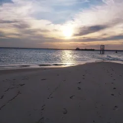 Marine Life and Snorkeling Spots - Nacala