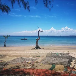 Marine Life and Snorkeling Spots - Nacala