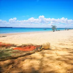 Marine Life and Snorkeling Spots - Nacala