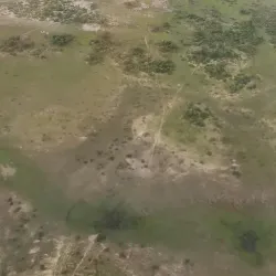 Moma Beach - Nampula