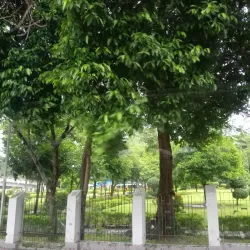 Insein Township Park - Insein