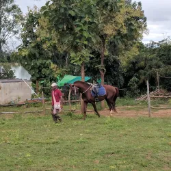 Horse Cart Rides Around Inwa - Inwa (Ava)