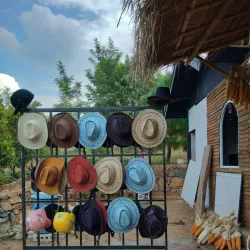 Horse Cart Rides Around Inwa - Inwa (Ava)