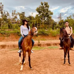 Horse Cart Rides Around Inwa - Inwa (Ava)