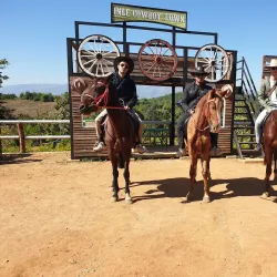 Horse Cart Rides Around Inwa - Inwa (Ava)