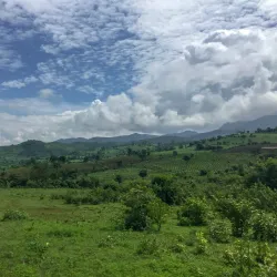 Horse Cart Rides Around Inwa - Inwa (Ava)