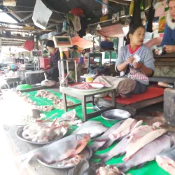 Kalemyo Market - Kalemyo