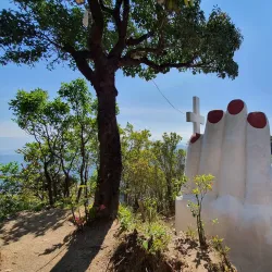 Than Daung Gyi Wildlife Sanctuary - Katha