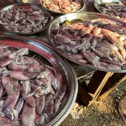 Kyaukpyu Market - Kyaukpyu