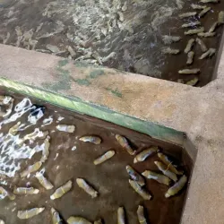 Kyaukpyu River - Kyaukpyu