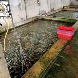 Kyaukpyu River - Kyaukpyu