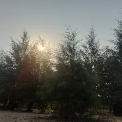 Kyeintali Beach - Kyaukpyu