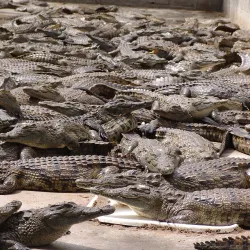 Ramree Island - Kyaukpyu