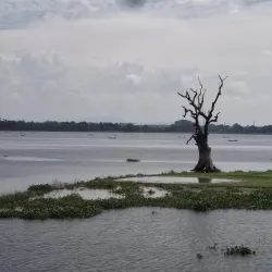 U Bein Bridge - Mandalay