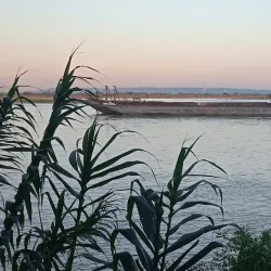 Chindwin River - Mawlaik