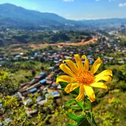Nearby Hilltop Viewpoints - Mawlaik