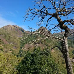 Nearby Hilltop Viewpoints - Mawlaik
