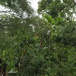 Bilu Island - Mawlamyine