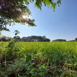 Kyaikmaraw Paya - Mawlamyine