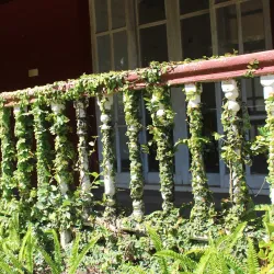 Maymyo Colonial Town - Maymyo