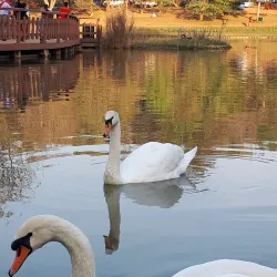 National Kandawgyi Botanical Gardens - Maymyo