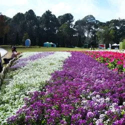 Meiktila Botanical Garden - Meiktila