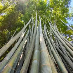 Meiktila Botanical Garden - Meiktila