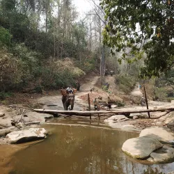 Nature Walks and Bird Watching - Myanaung