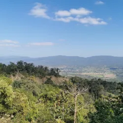 Nature Walks and Bird Watching - Myanaung