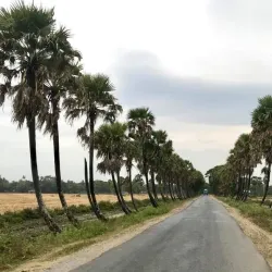 Rural Villages - Myanaung
