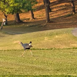 Naypyidaw Golf Club - Naypyidaw