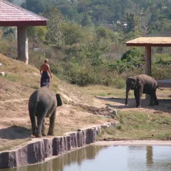 Naypyidaw Zoological Gardens - Naypyidaw