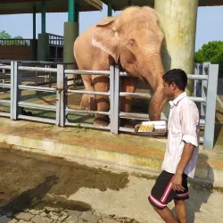 Uppatasanti Pagoda - Naypyidaw