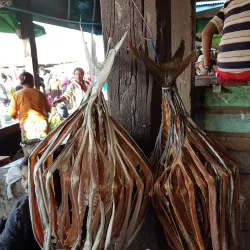 Sittwe Market - Sittwe
