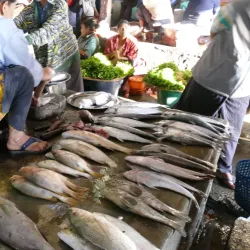 Sittwe Market - Sittwe