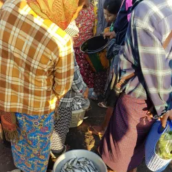 Sittwe Market - Sittwe