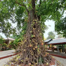 Myat Saw Mon Pagoda - Taungoo