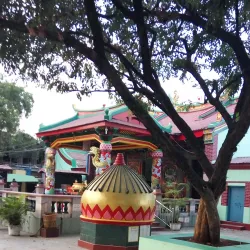 Taungoo Palace - Taungoo